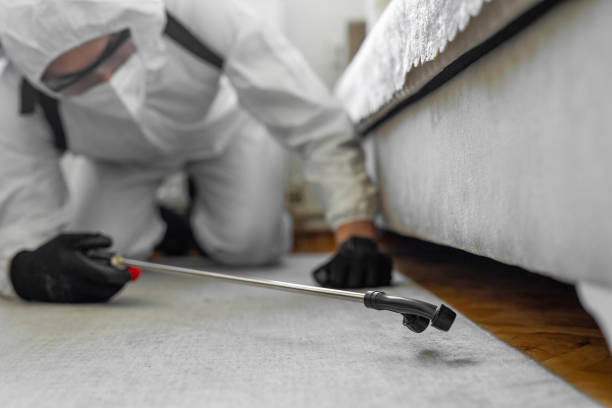 Professional Bed Bug Control technician working in Campbelltown, PA