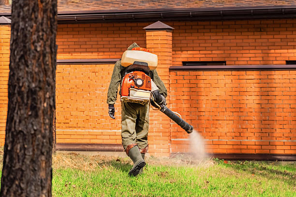 Trusted Termite Control service in Campbelltown, PA - Nex Pest Control
